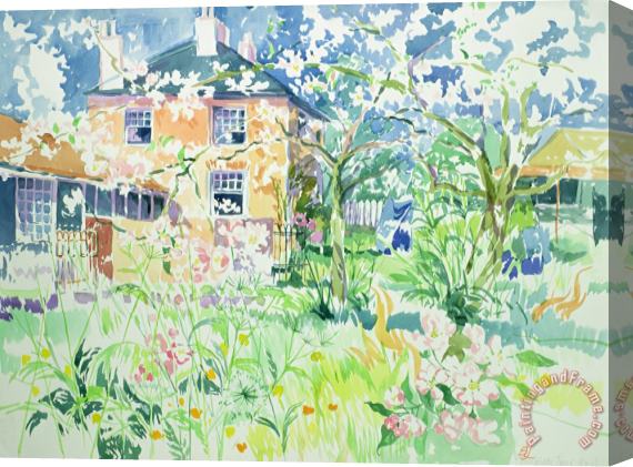 Elizabeth Jane Lloyd Apple Blossom Farm Stretched Canvas Print / Canvas Art