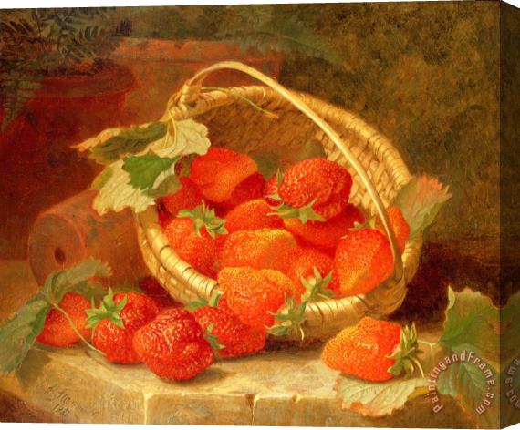 Eloise Harriet Stannard A Basket of Strawberries on a Stone Ledge 1888 Stretched Canvas Print / Canvas Art