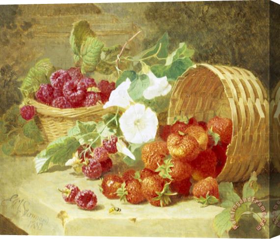 Eloise Harriet Stannard Baskets of Strawberries Raspberries And Convolvulus Stretched Canvas Print / Canvas Art