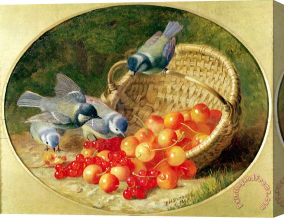 Eloise Harriet Stannard Bluetits Pecking at Cherries 1897 Stretched Canvas Print / Canvas Art