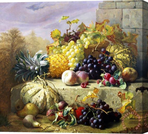 Eloise Harriet Stannard Profusion of Fruit Stretched Canvas Print / Canvas Art