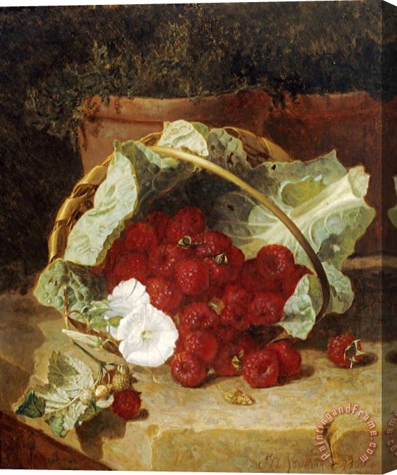 Eloise Harriet Stannard Raspberries in a Cabbage Leaf Lined Basket with White Convulus on a Stone Ledge 1880 Stretched Canvas Painting / Canvas Art