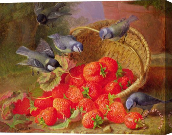 Eloise Harriet Stannard Still Life with Strawberries and Bluetits Stretched Canvas Painting / Canvas Art