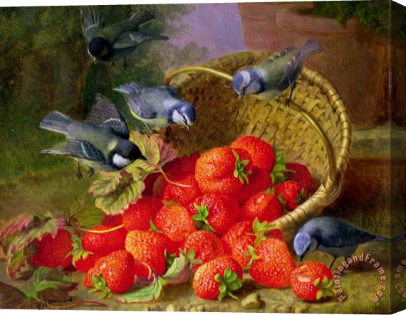 Eloise Harriet Stannard Still Life with Strawberries And Bluetits Stretched Canvas Print / Canvas Art
