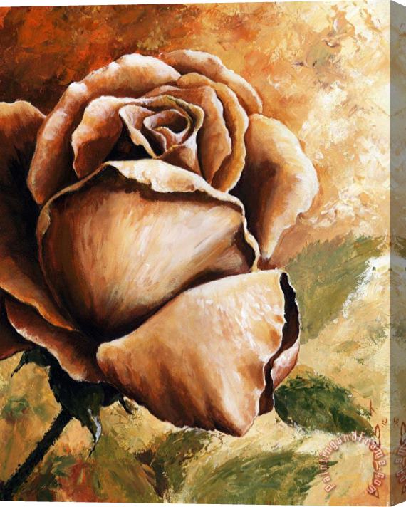 Emerico Toth Rose Stretched Canvas Print / Canvas Art