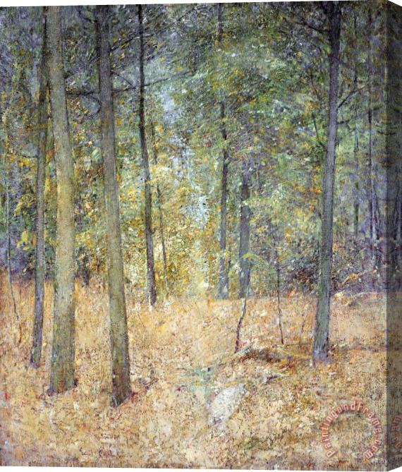Emil Carlsen A Light in The Forest Stretched Canvas Print / Canvas Art