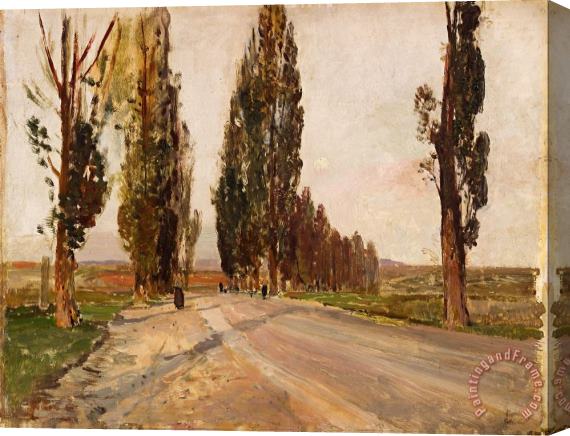 Emil Jakob Schindler Boulevard of Poplars Near Plankenberg Stretched Canvas Painting / Canvas Art