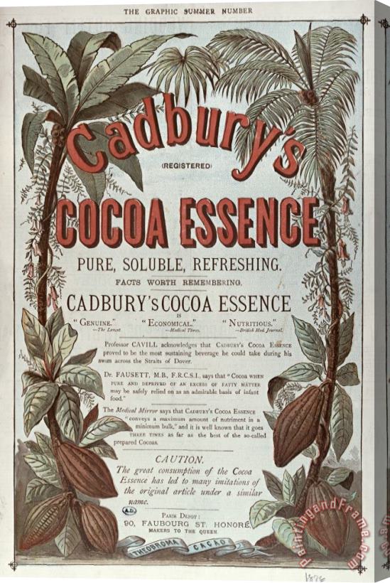 English School Advertisement For Cadburs Cocoa Essence From The Graphic Stretched Canvas Print / Canvas Art
