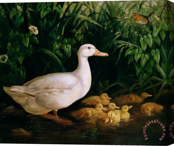 English School Duck and ducklings Stretched Canvas Painting / Canvas Art