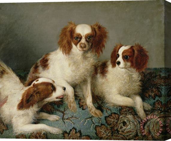 English School Three Cavalier King Charles Spaniels on a Rug Stretched Canvas Print / Canvas Art