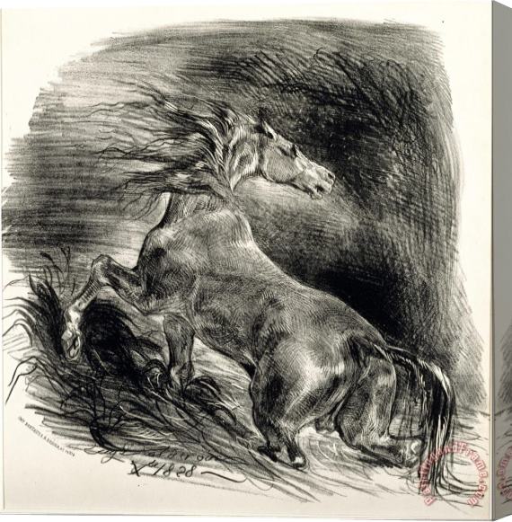 Eugene Delacroix Cheval Sauvage Stretched Canvas Print / Canvas Art