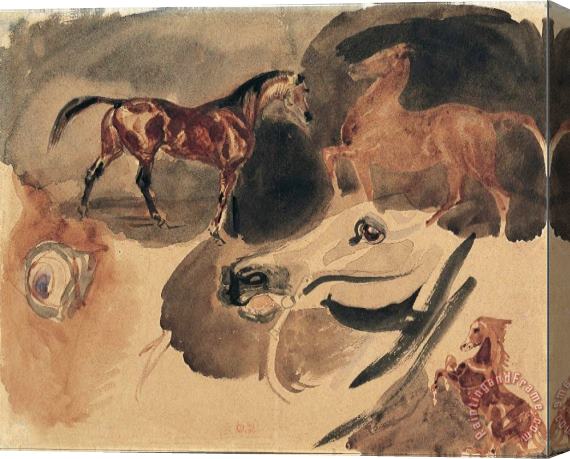 Eugene Delacroix Study of Horses Stretched Canvas Print / Canvas Art