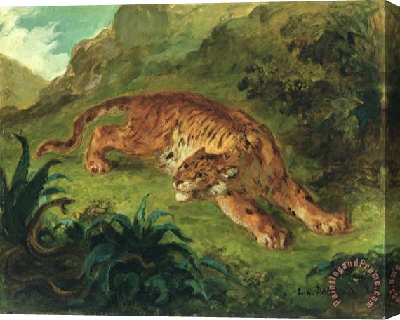 Eugene Delacroix Tiger And Snake Stretched Canvas Painting / Canvas Art
