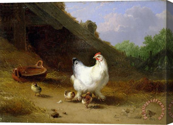 Eugene Joseph Verboeckhoven A hen with her chicks Stretched Canvas Print / Canvas Art