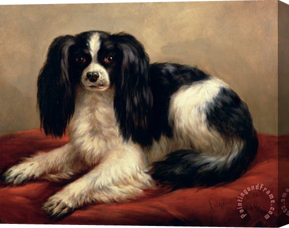 Eugene Joseph Verboeckhoven A King Charles Spaniel Seated on a Red Cushion Stretched Canvas Print / Canvas Art