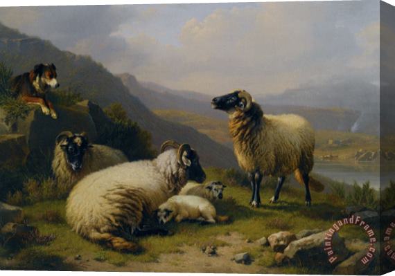 Eugene Verboeckhoven Sheep Dog Guarding His Flock Stretched Canvas Print / Canvas Art