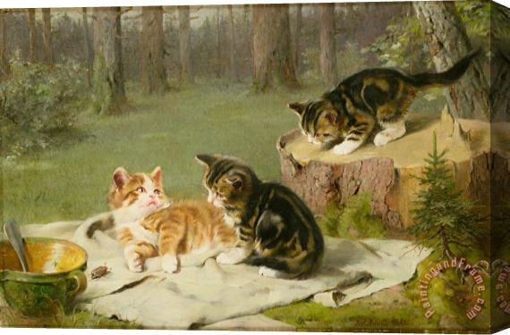 Ewald Honnef Kittens Playing Stretched Canvas Print / Canvas Art