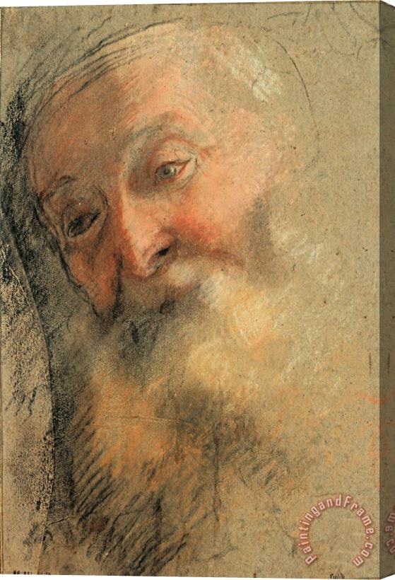 Federico Barocci Head of an Old Bearded Man, 1584 1586 Stretched Canvas Painting / Canvas Art