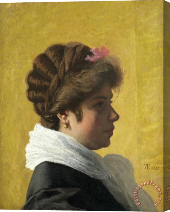 Federico Zandomeneghi Portrait of a Lady, 1869 Stretched Canvas Print / Canvas Art