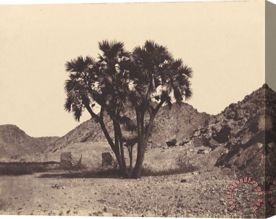 Felix Teynard Egypte Et Nubie. Sites Et Monuments...atlas Photographe...deuxieme Partie. Nubie. Stretched Canvas Print / Canvas Art