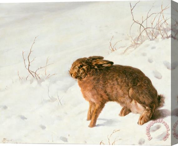 Ferdinand von Rayski Hare in The Snow Stretched Canvas Painting / Canvas Art
