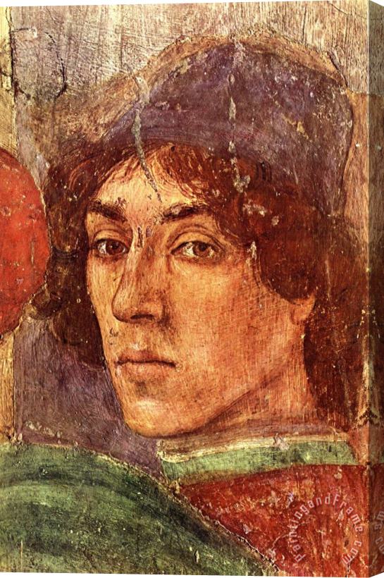 Filippino Lippi Self Portrait Stretched Canvas Painting / Canvas Art