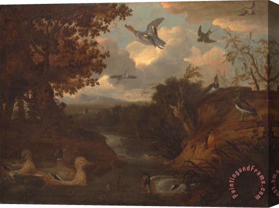 Francis Barlow Ducks And Other Birds About a Stream in an Italianate Landscape Stretched Canvas Painting / Canvas Art