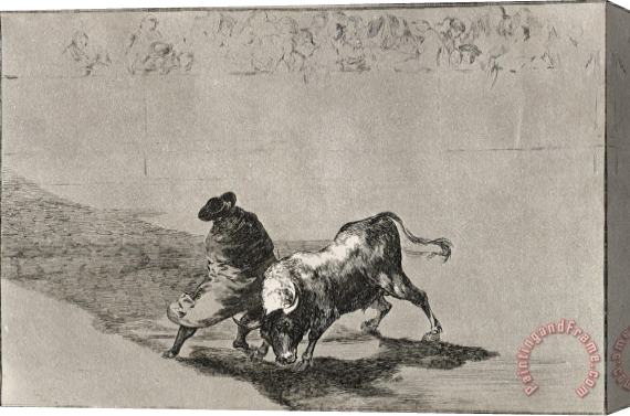 Francisco De Goya The Clever 'student of Falces' Infuriates The Bull by Moving About Wrapped in His Cloak Stretched Canvas Print / Canvas Art