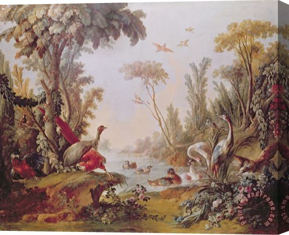 Francois Boucher Lake with geese storks parrots and herons Stretched Canvas Print / Canvas Art