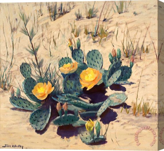 Frank V. Dudley Strangers From Far Away (cactus) Stretched Canvas Print / Canvas Art