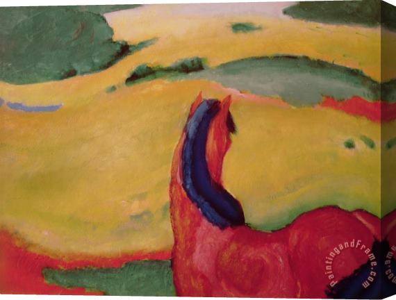 Franz Marc Horse in a landscape Stretched Canvas Painting / Canvas Art