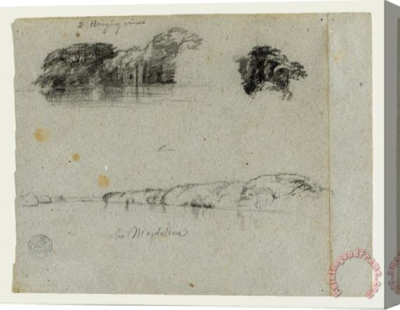 Frederic Edwin Church Sketches of Trees, Vines And a Bank of The Rio Magdalena, Columbia Stretched Canvas Painting / Canvas Art