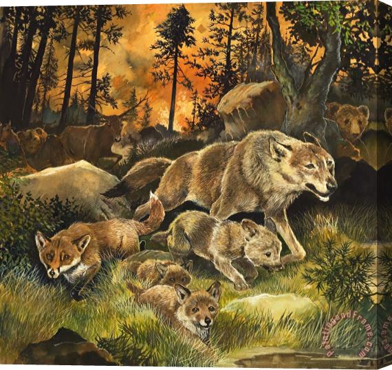 G W Backhouse Animals United in Terror as They Flee from a Forest Fire Stretched Canvas Print / Canvas Art
