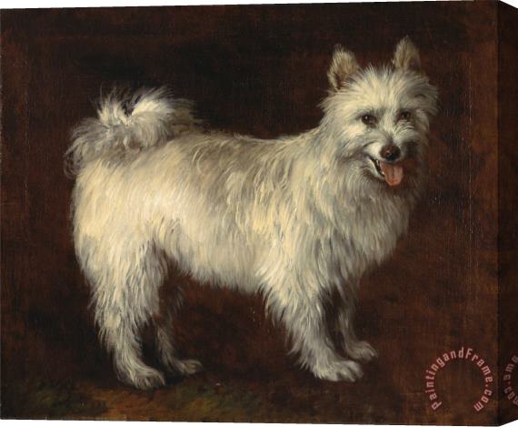 Gainsborough, Thomas Spitz Dog Stretched Canvas Painting / Canvas Art