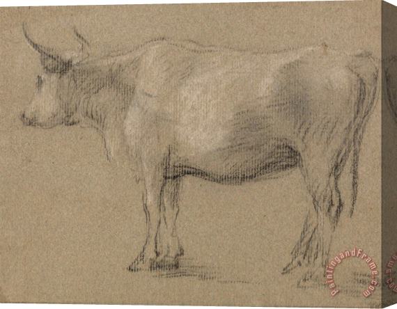 Gainsborough, Thomas Study of a Cow Stretched Canvas Painting / Canvas Art