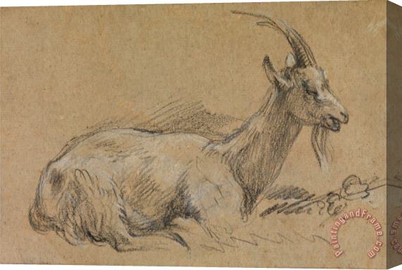 Gainsborough, Thomas Study of a Goat Stretched Canvas Print / Canvas Art