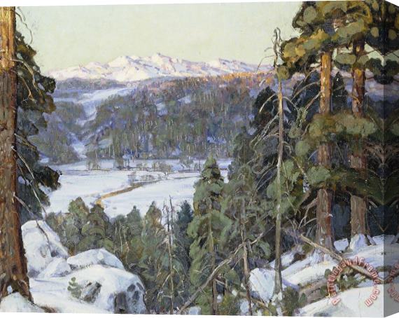 George Gardner Symons Pines In Winter Stretched Canvas Print / Canvas Art