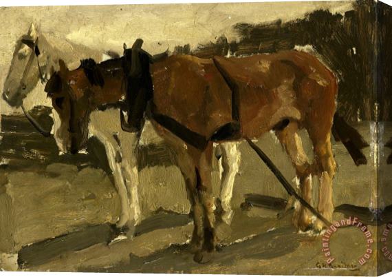 George Hendrik Breitner A Brown And a White Horse in Scheveningen Stretched Canvas Print / Canvas Art