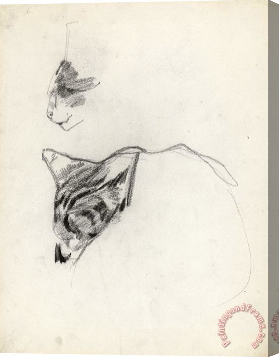 George Hendrik Breitner Twee Studies Van Een Kat Stretched Canvas Print / Canvas Art