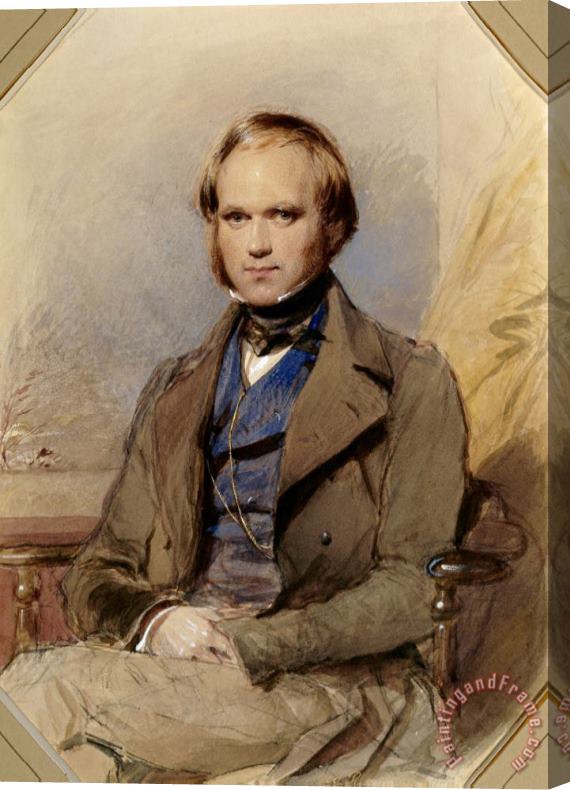 George Richmond Charles Darwin Stretched Canvas Painting / Canvas Art