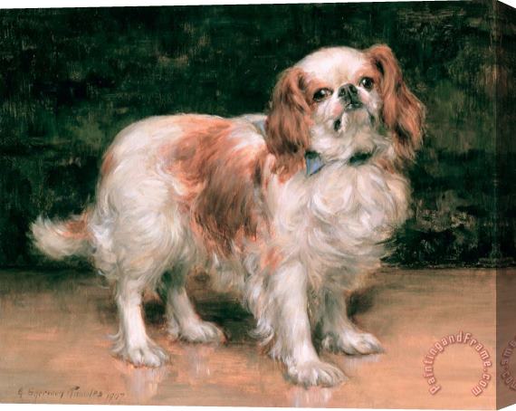 George Sheridan Knowles King Charles Spaniel Stretched Canvas Painting / Canvas Art