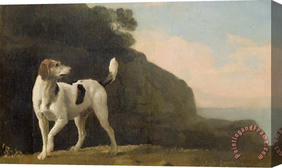 George Stubbs A Foxhound Stretched Canvas Print / Canvas Art