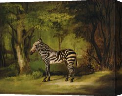 Magasin Fouquet Boutique for The Jeweller Georges Fouquet Rue Royale Paris C 1900 Canvas Paintings - A Zebra by George Stubbs