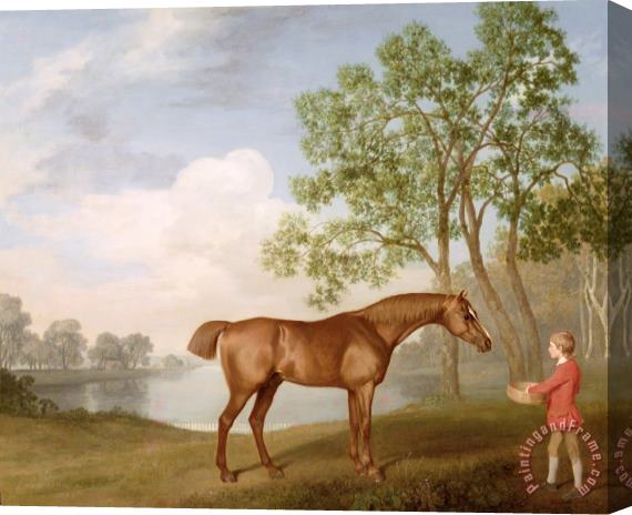 George Stubbs Pumpkin with a Stable-Lad Stretched Canvas Print / Canvas Art