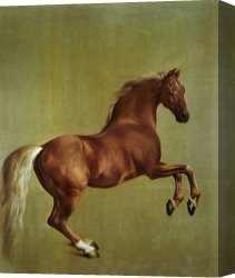 Magasin Fouquet Boutique for The Jeweller Georges Fouquet Rue Royale Paris C 1900 Canvas Paintings - Whistlejacket by George Stubbs