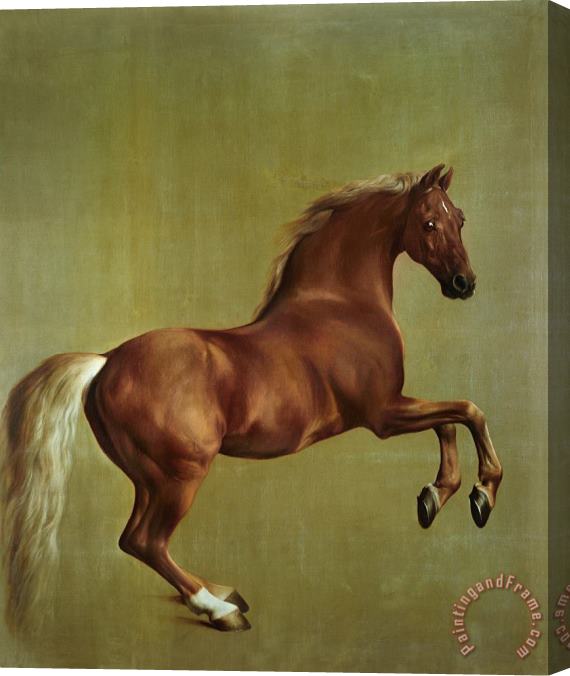 George Stubbs Whistlejacket Stretched Canvas Print / Canvas Art