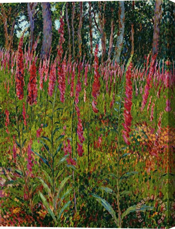 Georges Lacombe Foxgloves Stretched Canvas Print / Canvas Art