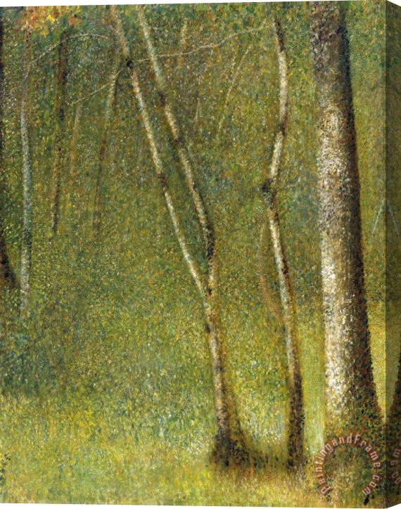 Georges Seurat The Forest at Pontaubert Stretched Canvas Painting / Canvas Art