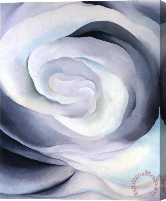 Georgia O'keeffe Abstraction White Rose Stretched Canvas Print / Canvas ...
