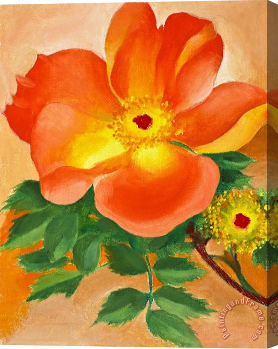 Georgia O'keeffe Austrian Copper Rose Iv, 1958 Stretched Canvas Painting / Canvas Art